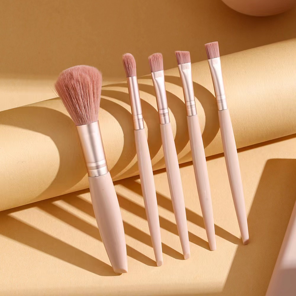5pcs Cosmetic Brush Kit With M - đánh giá và giá Beauty Makeup Box Set