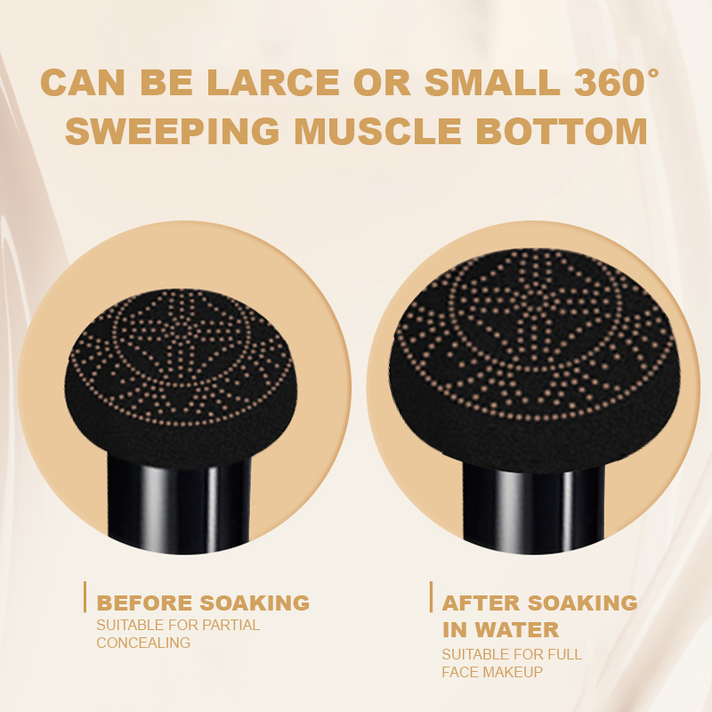 Ocheal BB Cream Air Cushion Co - đánh giá và giá Beauty Linasi Makeup